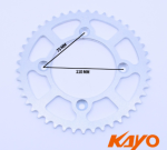 Ritzel hinten 420 45 Zähne Kayo KMB 60